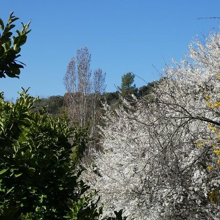 Appartamento Dom L' Argo Reillanne Esterno foto